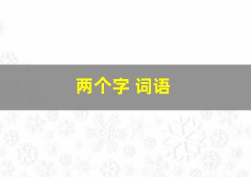 两个字 词语